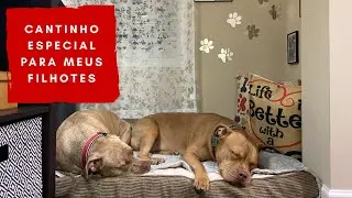 Como criei um cantinho fofo para os meus cachorros | Pets | Val&eacute;ria Angelotti