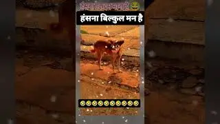 AM TR  blog#comedy#funny #viral #trending #funny #trending#comedy#video #trending#Gadar#2#comedy