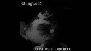 DUNGWEED -- Feline Overlord Blue #doom #metal #sludgemetal