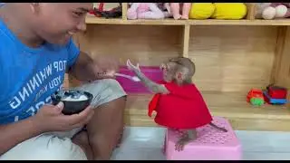 Baby Mnkey Zhuly Hunqrrii eats a lot of 🍦🍨
