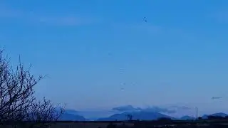 ##sky #clouds #attheendoftheday #birds #mountains 