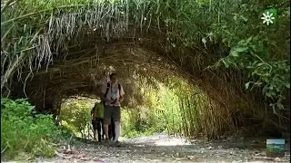 Una joya medioambiental, Humedales de Padul, Granada
