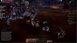 Tera NA CBT1 Lvl 27 World Boss [Atrocitas]