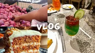 VLOG:Grocery Restock| Birthday Dinner||Haul lots of shopping|Zimbabwean Youtuber ~ Zelga Jones