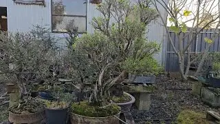A walk around the benches