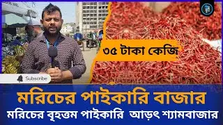 শরীয়তপুর মোলারহাট শুকনা মরিচের আজকের বাজার দর / today's red chilli price