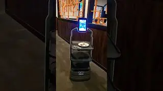 Robot Servers at Hibachi Restaurant #shorts #youtubeshorts #subscribe