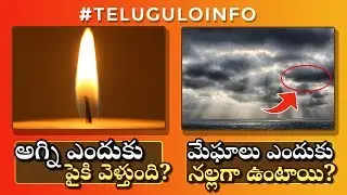 Interesting Questions & Answers | మేఘాలు ఎందుకు నల్లగా ఉంటాయి?| What is D&eacute;j&agrave; vu? | #TeluguloINFO