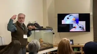 Full life cycle conservation of Piping Plovers