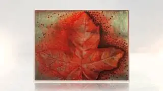 Rubbings