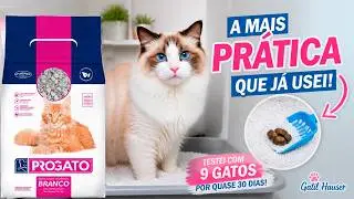 Areia para gatos ProGato BRANCO - Gatil Hauser