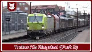 Trains At: Ringsted (Part 2) (Ft. @Lucas-Mikkelsen & Bastians Trainspotting)