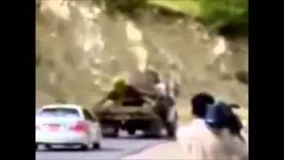 Testuggine Enorme - Terrificante Animale trovato sullo Stromboli