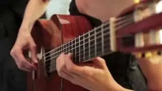 EL ABROJITO