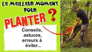 Quand planter ? Meilleure période de plantation, conseils, astuces, erreurs à éviter, exemples...