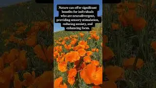 Why Nature Calms My Neurodivergent Brain #neurodivergent #adhd #depression #anxiety #autism #nature