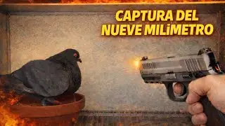 Captura de mi palomito El Nueve-Mil&iacute;metros
