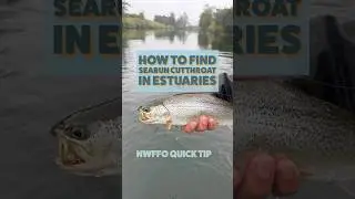 Reading Searun Cutthroat Water - NWFFO Quick Tip