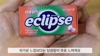 [소비일기 vlog] 쇼핑하울ㅣ이클립스 워터멜론향 ㅣ수박맛 무설탕캔디 추천 🍉🍬