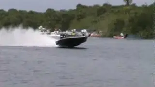 SCREAM AND FLY