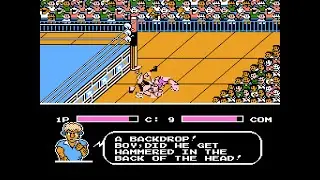 [TAS] NES Tecmo World Wrestling by ShesChardcore in 05:31.62