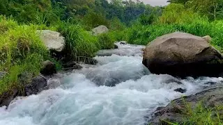 Beautiful Harmony Melodies White Noise Sounds, Relaxing Gentle Stream of Mountain Stream Sounds