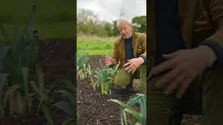 Slug and snail reduction