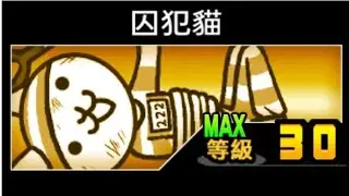 貓咪大戰爭  { 開眼成人貓來襲 ！}  成人貓進化之路 困難/成人貓進化之路 超級難//