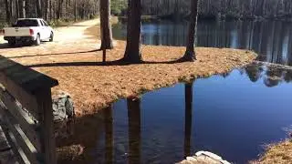 Video of Aiken State Park, SC from Cathy C.