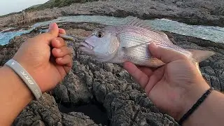 ZUBATAC NA JIG(Dentex) + SKARAM(BARRACUDA) NA 140 DUO