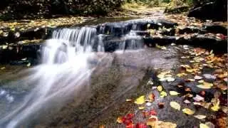 Relaxing Music Therapy Water - Energy of Nature