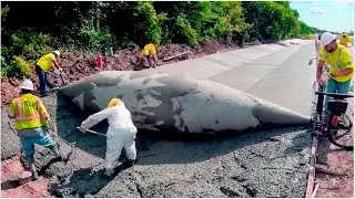 Ingenious Construction Workers Who Are On Another Level