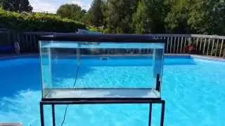35 Gallon Fish Tank for Sale With Stand and Accessories