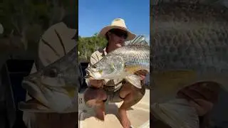 Nature's Paradise: Calm River, Peaceful Pond, and Amazing Animals