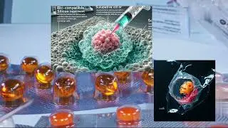 Biokisel,  flytande plast kan kontrollera genomtr&auml;ngning i blod och v&auml;vnader f&ouml;r cancerbehandling.