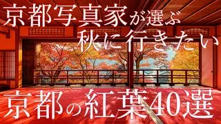 京都写真家が選ぶ秋に行きたい京都の紅葉40選 : 40 autumn leaves in Kyoto that you want to visit in autumn
