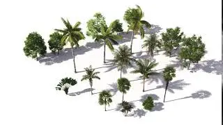 Maxtree Animation