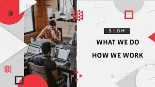 What We Do: Digital Transformation, Development & Innovation - We are SQDM
