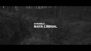 Sacred Animals - Maya Liminal
