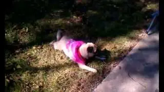 Sasha trying to get out of get jacket....
