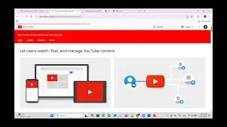[AISE2251] Accessing YouTube Data API with Python