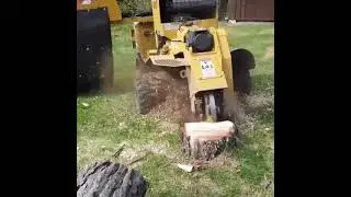 M&aacute;quina de triturar tronco de &aacute;rvore