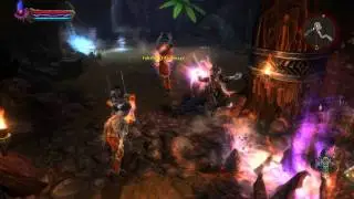 Amalur Reckoning Lifedrinker