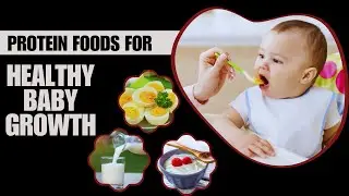 Best High Protein Foods for Baby's Growth and Development