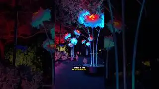 Awesome LIGHTSHOW in Brisbane Botanic Gardens!
