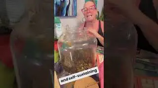 Part 1 CLOSED TERRARIUM BUILDING
