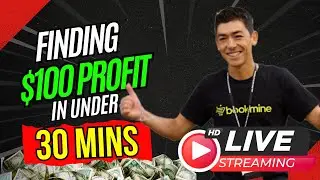 Finding $100 Profit in 30 Minutes Using BookMine