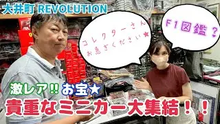 【F1】コレクター必見！激レアミニカー大集結！！謎のF1図鑑とは？！