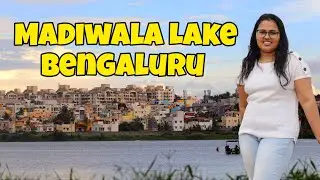 Madiwala Lake Bengaluru ബംഗളുരു മടിവാള തടാകം