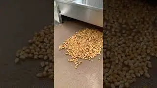 Microwave puffed popcorn tunnel oven